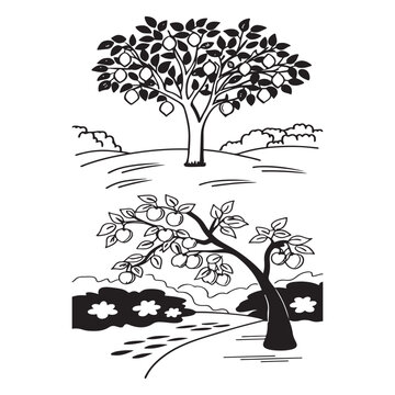 recommend clip art: Apricot fruit on trees silhouette