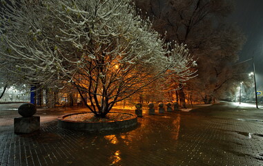 Novokuznetsk, Russia. November 01, 2024. A picturesque view of the trees of the city park covered...