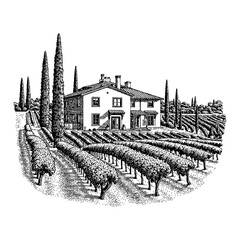 Mediterranean Villa Surrounded by Lush Vineyards and Tall Cypress Trees Black and White Outline Line Art Drawing