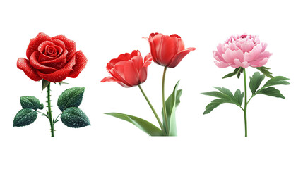 Obraz premium Realistic rose, tulip, and peony flower icons with fresh colors and natural leaf detail with transparent background