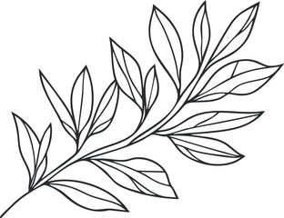 Black and white line art illustration of a plant branch with detailed leaves and veins