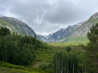 View up a steep sided glacial valley formation with glacier,trees mountains and sky