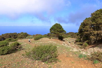 landscape around El Sabinar, El Hierro, Canary Islands, Spain