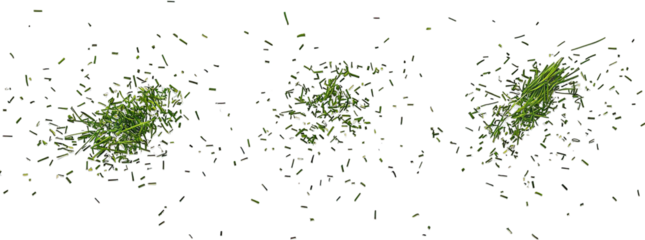 Close-up view of vibrant green grass blades swaying gently in the breeze. showcasing the natural beauty of a lush outdoor landscape with soft sunlight filtering through