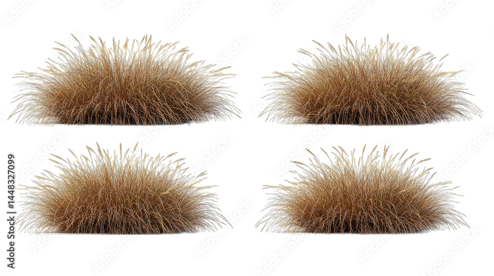 Poster a close-up view of a textured. fluffy object resembling a natural element. showcasing its intricate 