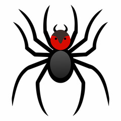 spider on a white background