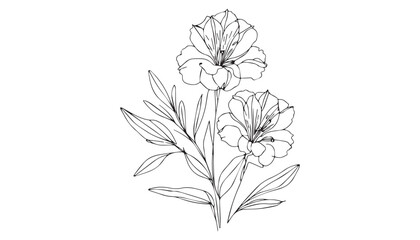 Continuous one single minimal line drawing Lily