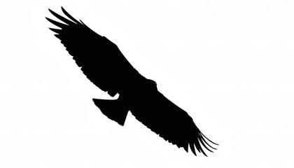Obraz premium Silhouette of a Bird in Flight, Wings Spread Wide on Stark White Background