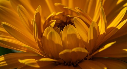 Close-Up of a Vibrant Yellow Flower with Delicate Petals