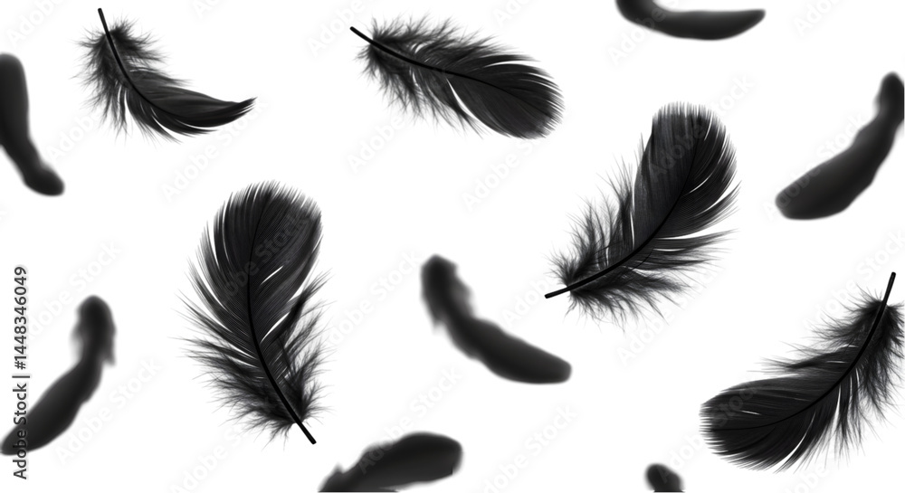 Aufkleber elegant black feathers floating on white background high-resolution image perfect for design project