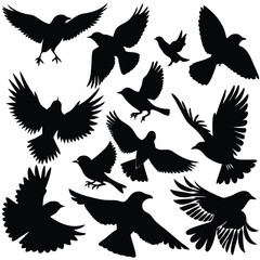 set of vector silhouettes of birds