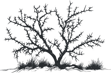 Black silhouette of a thorny bush with spiky branches and dry grass on ground isolated on white background
