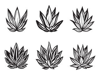 Obraz premium Agave Plant in Stylish and Smooth Line Art Design