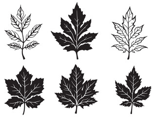 Ash Tree Line Art Vector Illustration for Design