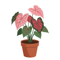 Obraz premium Simple vector of a caladium plant with heart-shaped colorful leaves in a round terracotta pot on white background, concept for interior design, landscaping and gardening projects