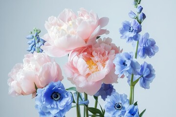 Fototapeta premium Delicate bouquet of pastel pink peonies and vibrant blue delphiniums.