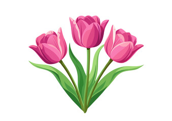 bouquet of pink tulips