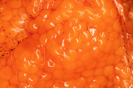A yastyk ( fish eggs enclosed in the ovarian membrane) with mature caviar. Roach caviar shortly before spawning. Ultra macro