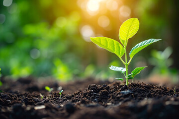 The web header and for Health, Safety, and Environment are designed to promote and ensure the well being and protection of individuals and the surrounding ecosystem   