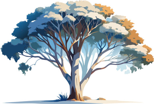 A watercolor depiction of a Snow Gum Tree (Eucalyptus pauciflora), with white bark and bluish foliage, isolated on a white background.