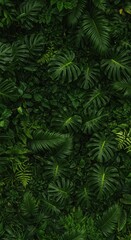 Fototapeta premium Lush Green Tropical Leaves Background: Monstera Deliciosa and Fern Texture