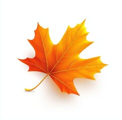 Obraz premium A realistic maple leaf, vector illustration with a white background. The colors are orange and yellow. There are slight shadows under the leaf. The picture contains only one maple leaf, with no other 