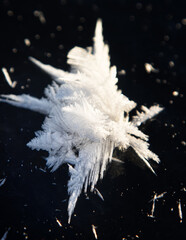 Glaciology. Young freshwater ice with characteristic tabular crystals of perspiration on the surface (crystal flake). Nilas at the age of 2 days, temperature. The most beautiful pattern