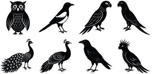 Set of birds vector illustration white background, bundle of  8 birds 