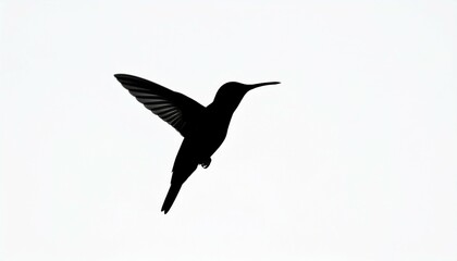 Fototapeta premium Hummingbird Silhouette in Flight Wings Extended