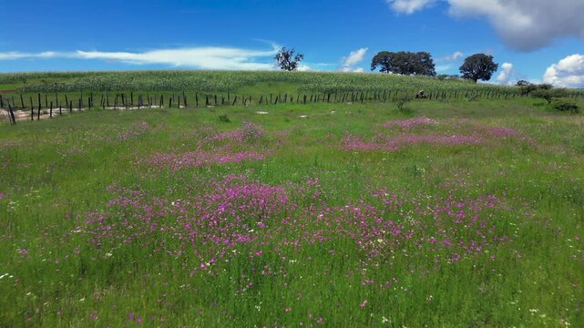 Personas Irreconocibles Cabalgando Sobre Camino De Tierra En La Sierra hombres Vaqueros disfrutando al aire libre en Día Soleado