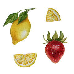 Watercolor lemon, lemon slice and strawberry isolated on white background. Lemon yellow fruit with green leaves. Botanical painting.