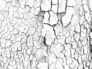 Abstract grunge black and white distressed texture overlay effect design element, noise background