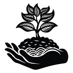 Hand Holding a Growing Plant, A Symbol of Nature Conservation and Environmental Care