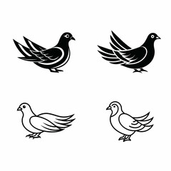 Fototapeta premium set of birds