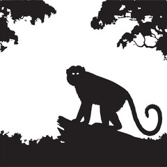  a assa mese macaque vector