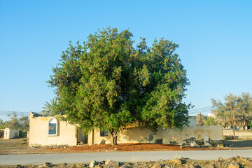 The ruins of a private house by the sea, windstorm