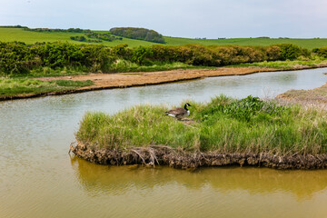 Aerial drone view over the famous, white cliffs of The Seven Sisters Dover, south England.