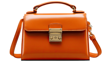 Elegance in Orange: A luxurious, orange handbag featuring a sleek design, golden accents, and a structured silhouette, perfect for the fashion-conscious.