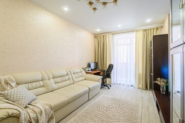 standard interior apartment. living room with sofa