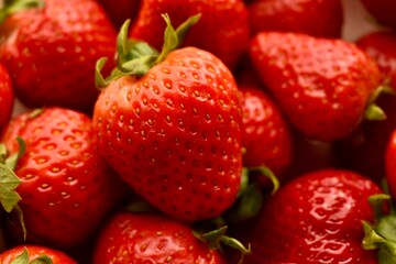 Close-up of fresh organic strawberries with vibrant red color and green leaves. Healthy summer fruit and natural food concept.