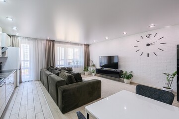 standard interior apartment. living room with sofa