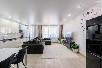 standard interior apartment. living room with sofa