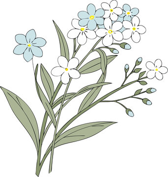 blue and white flowers on green stems clip art preview