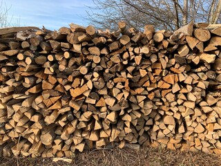 Stapel mit Brennholz- Holzwirtschaft im Forstbetrieb