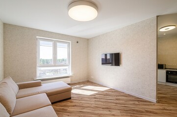 standard interior apartment. living room with sofa