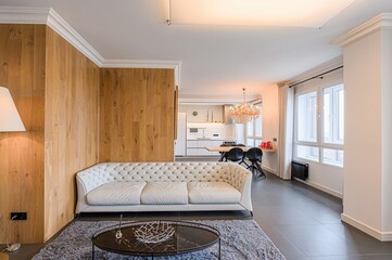 standard interior apartment. living room with sofa