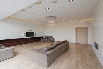 standard interior apartment. living room with sofa