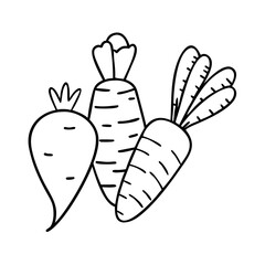 root vegetables icon, root vegetables vector illustration-simple illustration of root vegetables, perfect for root vegetables logos and icons