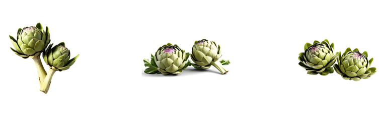 Obraz premium A set of artichoke illustrations, cut out in PNG format with a transparent background. Artichokes are rich in antioxidants, improve digestion, support liver health, and promote heart health.