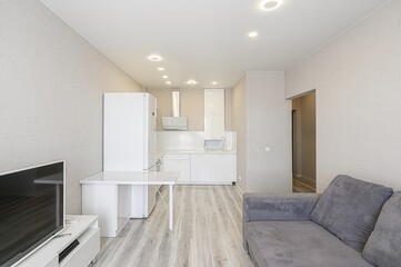 standard interior apartment. living room with sofa
